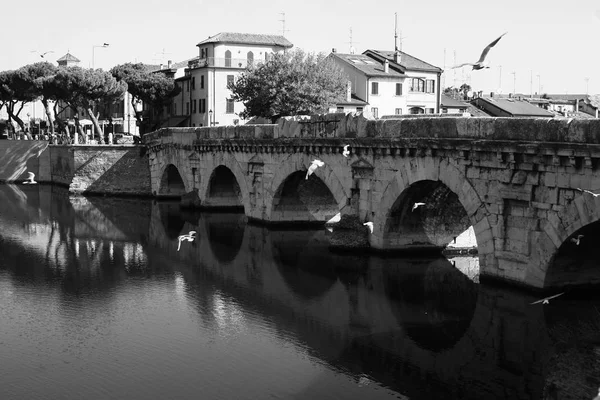 Summer Italy Rimini Bridge Tiberius Gulls Bridge Black White Photo — Stock Photo, Image