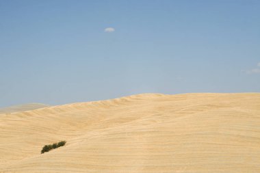 Sonbahar. İtalya. Tuscany. Val d'Orcia Vadisi