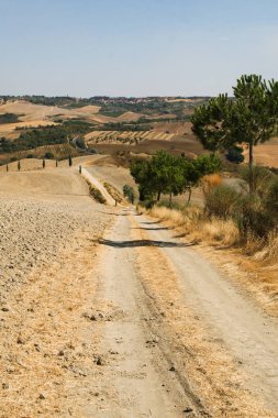 Sonbahar. İtalya. Tuscany. Val d'Orcia Vadisi