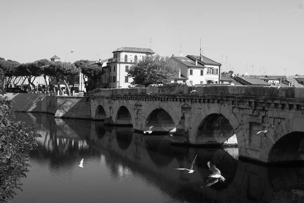 Summer Italy Rimini Bridge Tiberius Gulls Bridge Black White Photo — Stock Photo, Image