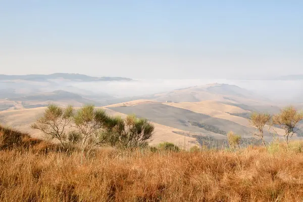 Estate Mattina Presto Italia Nebbia Montagna Erba Gialla Secca Alberi — Foto Stock