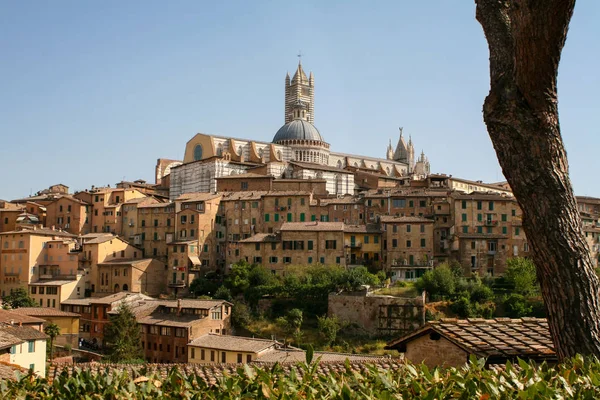 Estate Italia Sienna Veduta Della Città — Foto Stock