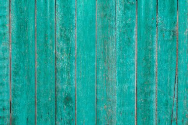 Eski ahşap boya arka plan (yeşil)