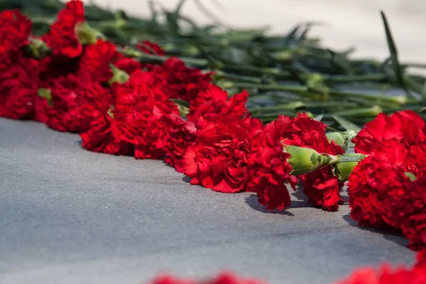 Rote Nelken Auf Einer Grauen Granitplatte — Stockfoto