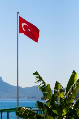 Rüzgarın çırpınan bayrak direğine Türk bayrağı. Deniz, dağlar, palmiye ağaçları