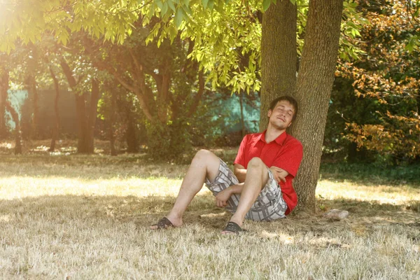 A man is resting under a tree.