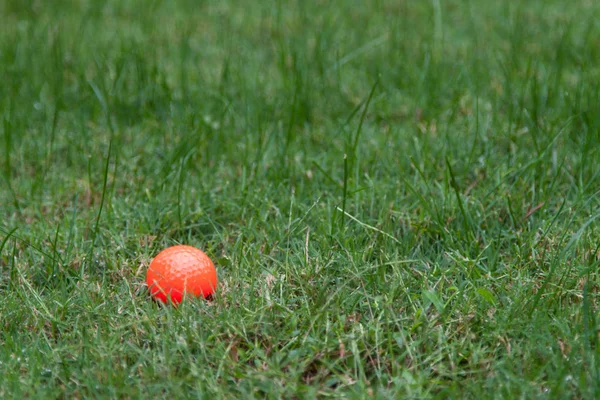 Orange Golf Ball Green Grass — Stock Photo, Image