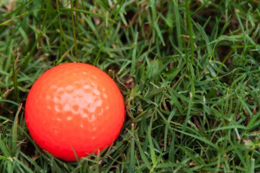 Yeşil çimenlerin üzerinde turuncu golf topu