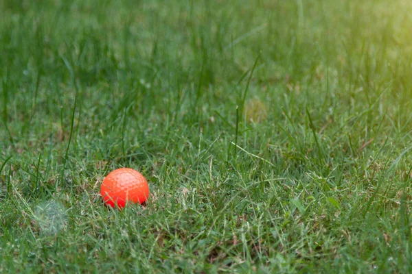 Orange Golf Ball Green Grass — Stock Photo, Image