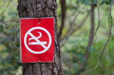 Bir çapraz duman sigara ile kırmızı bir işaret (sigara yasaktır) bir ağaç gövde çivilenmiş