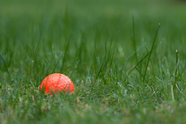 Oranžový Golfový Míček Zelené Trávě — Stock fotografie