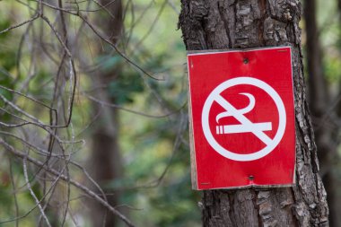Bir çapraz duman sigara ile kırmızı bir işaret (sigara yasaktır) bir ağaç gövde çivilenmiş