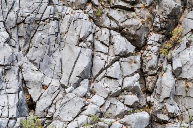 Taş yakın çekim doku. Gri kaya üzerine nadir yeşil yosun ve çatlaklar ile.