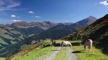 Üstten - Alp Alpbach Köyü ve Alpbachtal dağ görünüm 