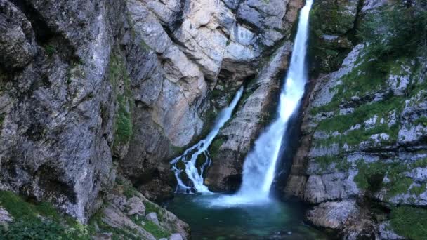 Καταρράκτης στις όχθες ποταμού Savica — Αρχείο Βίντεο