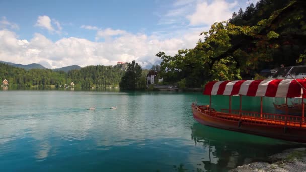 Traditional wooden boats — Stock Video