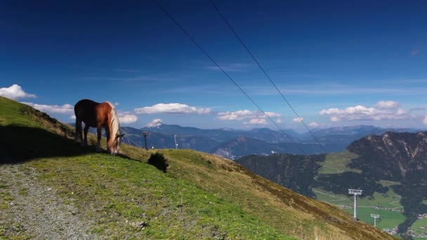 Θέα στο βουνό από την κορυφή - το αλπικό χωριό Alpbach και του δωματίου — Αρχείο Βίντεο