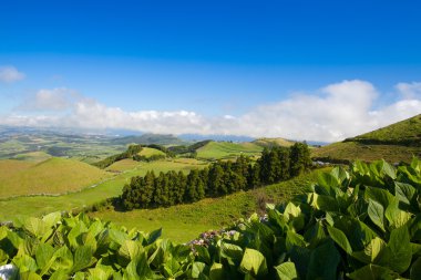 Sao Miguel, Azor peyzaj