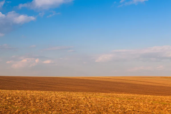 Campo de otoño después de la cosecha en el crepúsculo — Foto de Stock