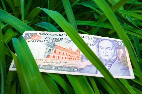 50 billets de banque bolivares vénézuéliens sur les feuilles — Photo