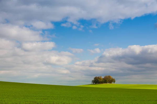 Eenzaam eiland vol met bomen in de herfst — Stockfoto