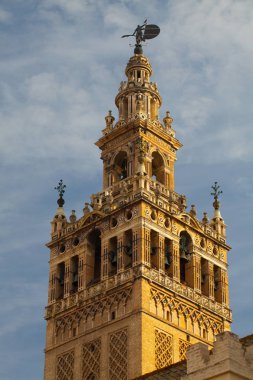 Sevilla Katedrali'nde günbatımı. İspanya. 