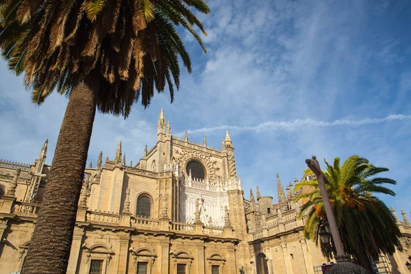 Catedral de Sevilla al atardecer. España . — Foto de Stock
