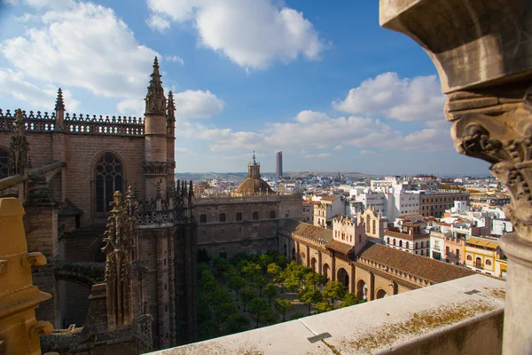 Letecký pohled z horní části katedrály Seville, Španělsko. — Stock fotografie