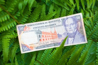 50 Venezuela bolivares banknot yaprakların üzerine