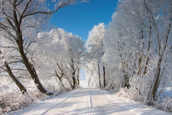 空的冬季道路在阳光灿烂的日子 — 图库照片