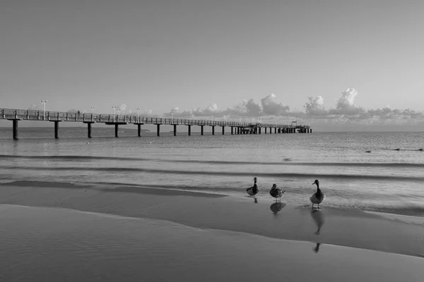 Abend auf der Seebrücke in binz — Stockfoto