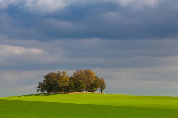 Eenzaam eiland vol met bomen in de herfst — Stockfoto