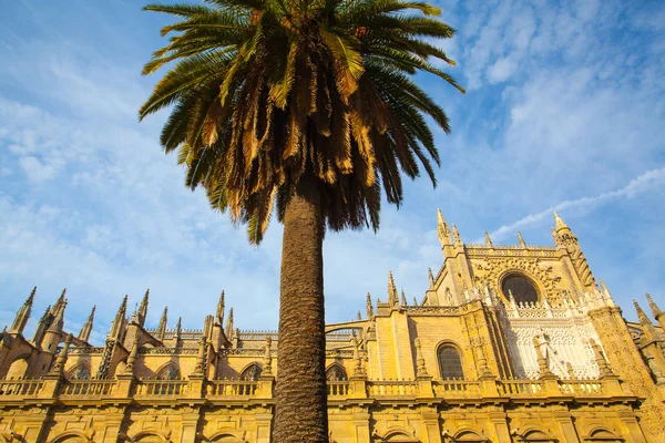 Cathédrale de Séville au coucher du soleil. Espagne . — Photo