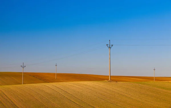 Wooden power poles  on the empty field after harvest — Stock Photo, Image