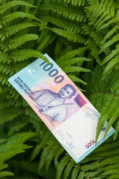 Индонезия рупия банкнота на листьях — стоковое фото