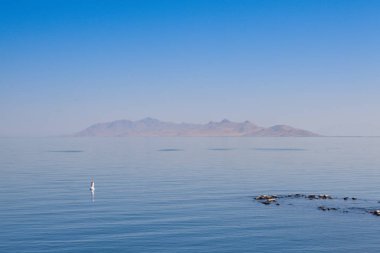 Antelope Adası'nda büyük Tuz Gölü, ABD.
