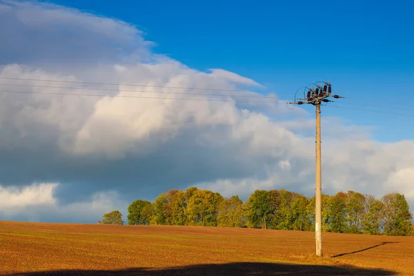 Prachtige herfst landschap van bergen Krkonoše — Stockfoto