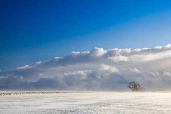 Sněhová bouře v prázdné krajině — Stock fotografie