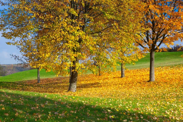 Městský park s podzimní barvy — Stock fotografie