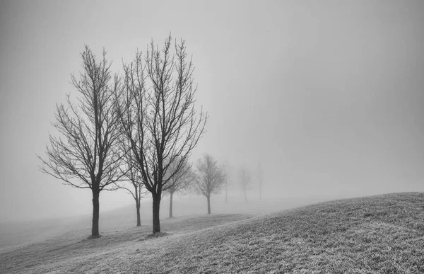 Paesaggio autunnale nella nebbia mattutina . — Foto Stock