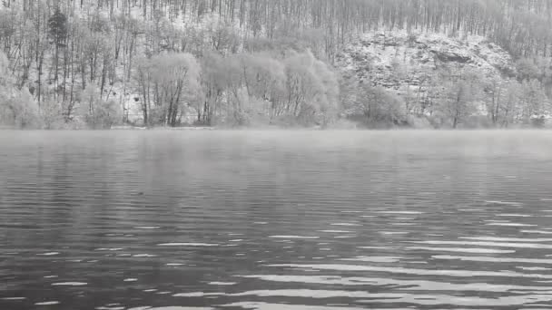 Ködös téli reggel a Moldva-folyó — Stock videók