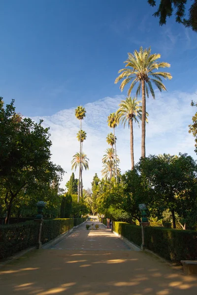 Giardini reali Alcazar a Siviglia . — Foto Stock