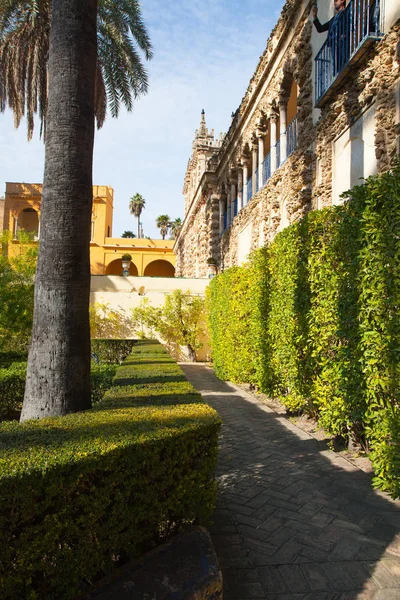 Echte Alcazar-Gärten in Sevilla. — Stockfoto