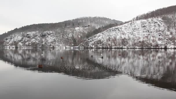 Symmetrie Winterlandschaft an der Moldau — Stockvideo