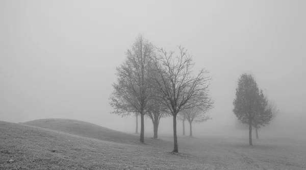 Cenário de outono na névoa da manhã . — Fotografia de Stock