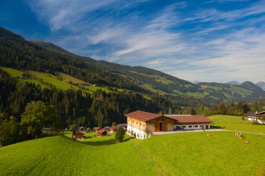 Sonbahar peyzaj Alpbach Valley, Avusturya.