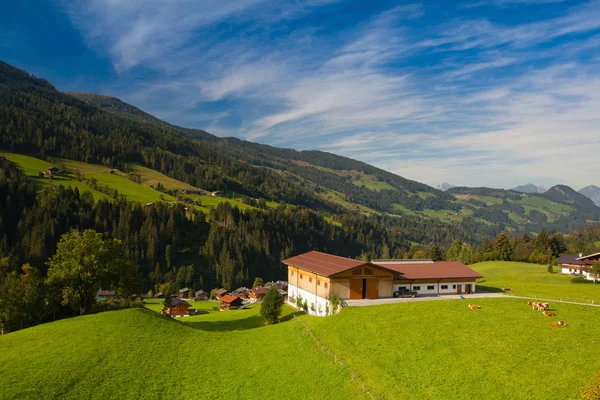 Sonbahar peyzaj Alpbach Valley, Avusturya.