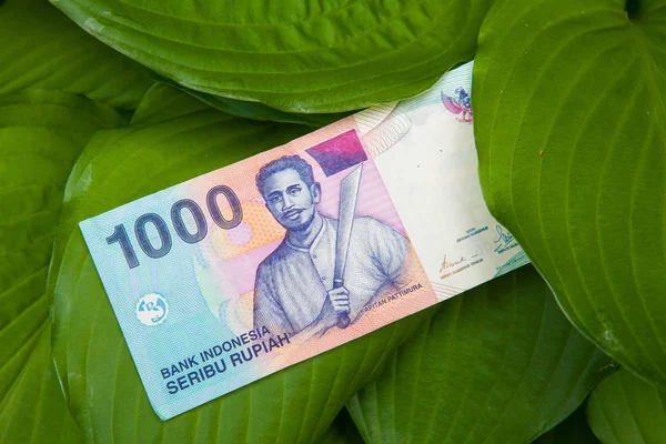 Indonésie roupie billet de banque sur les feuilles — Photo