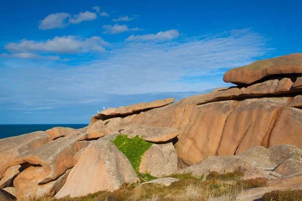 Rosa granitkusten i Bretagne, Frankrike. — Stockfoto