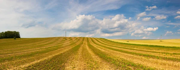 Harvested empty field on the hills — Stock Photo, Image